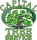 Capital Tree Service Logo